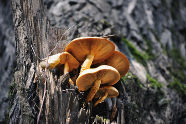 Similar image 21543373