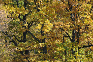 Similar image 21543375