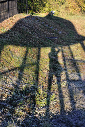 Similar image 21543620