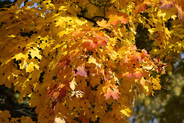 Similar image 21543625