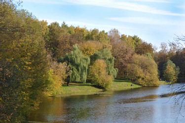 Similar image 21543629