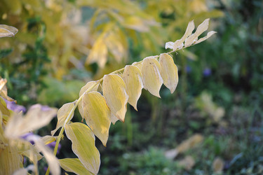 Similar image 21543634