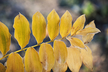 Similar image 21543636