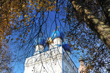 Similar image 21543642