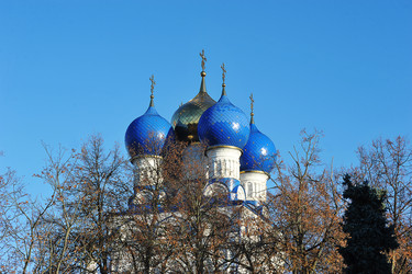 Similar image 21543652