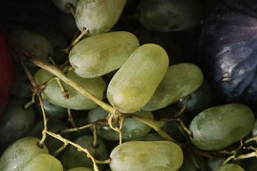 Similar image 21543655