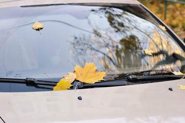 Similar image 21543840