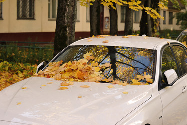 Similar image 21543842