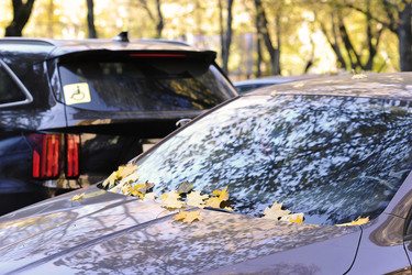 Similar image 21543849