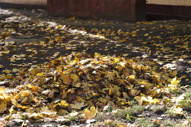 Similar image 21543855