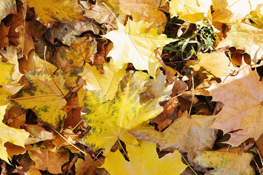 Similar image 21543858