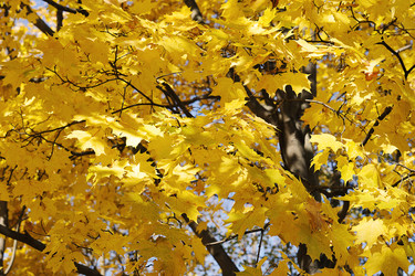 Similar image 21543862