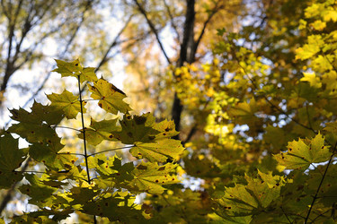 Similar image 21543864