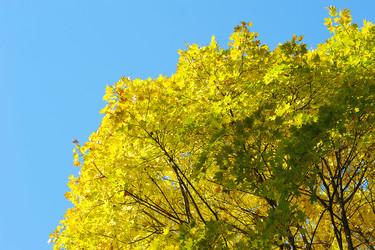 Similar image 21543866