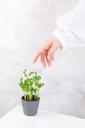 Similar image 21542604