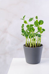 Similar image 21542605