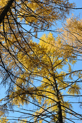 Similar image 21544024