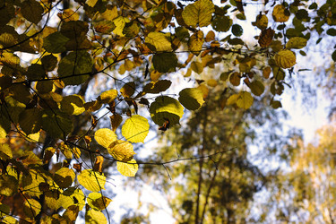 Similar image 21544034