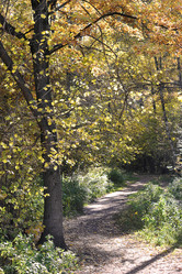 Similar image 21544042