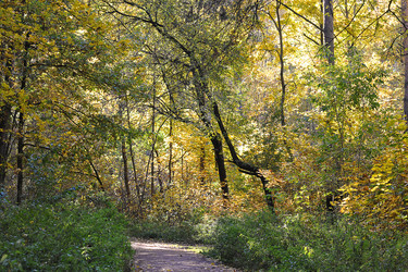 Similar image 21544044