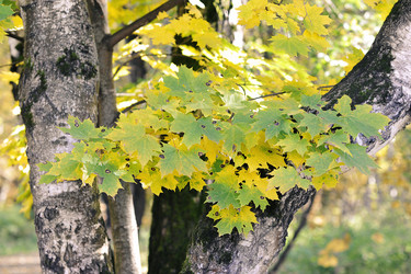 Similar image 21544048