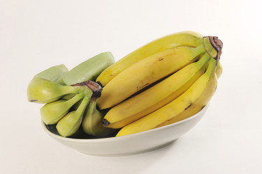 Similar image 21544092