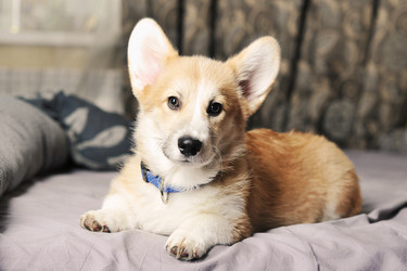 Similar image 21544278