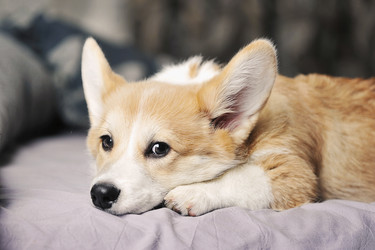 Similar image 21544340