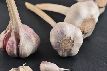 Similar image 21544460