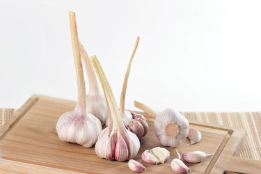 Similar image 21543239