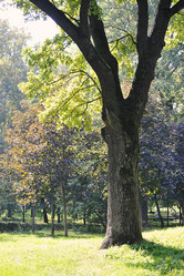 Similar image 21543258