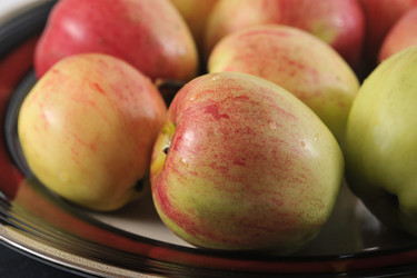 Similar image 21543379