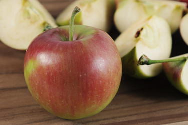 Similar image 21543387