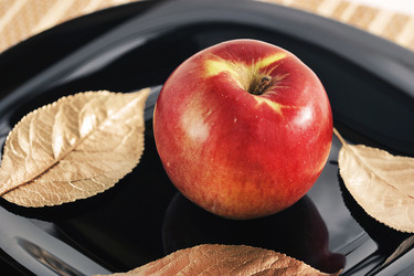 Similar image 21543673