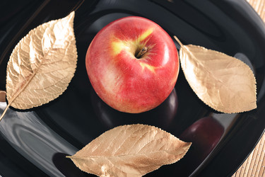 Similar image 21543675