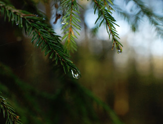 Similar image 21542622