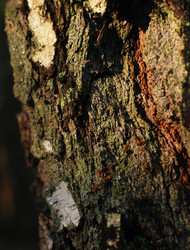 Similar image 21542624