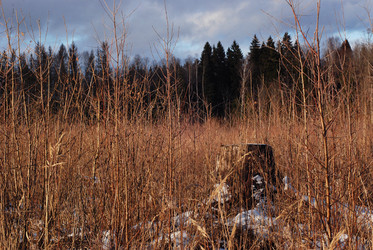 Similar image 21542625