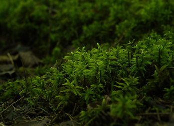 Similar image 21542627