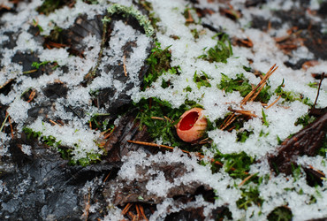 Similar image 21542632