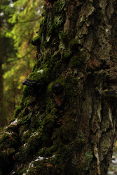 Similar image 21542633