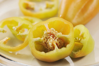 Similar image 21544065