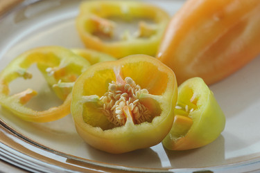 Similar image 21544068