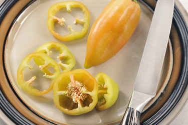 Similar image 21544071