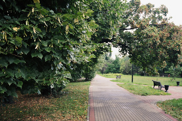 Similar image 21544080