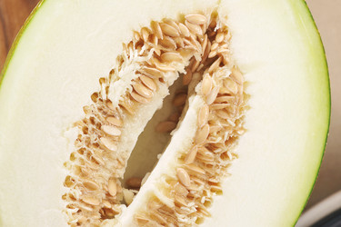 Similar image 21544300