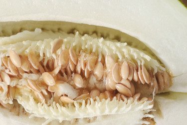 Similar image 21544301