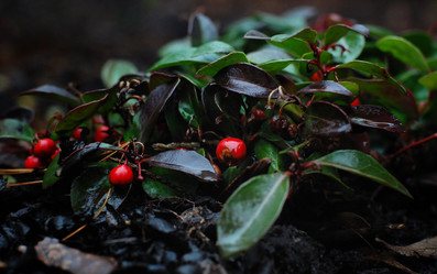 Similar image 21542636