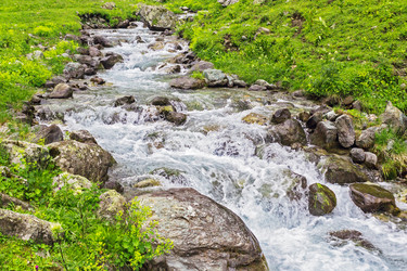 Similar image 21542744