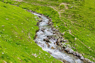 Similar image 21542745